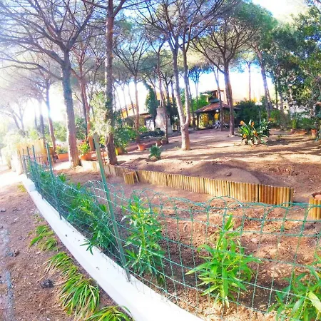Miry Casa vacanze Pula